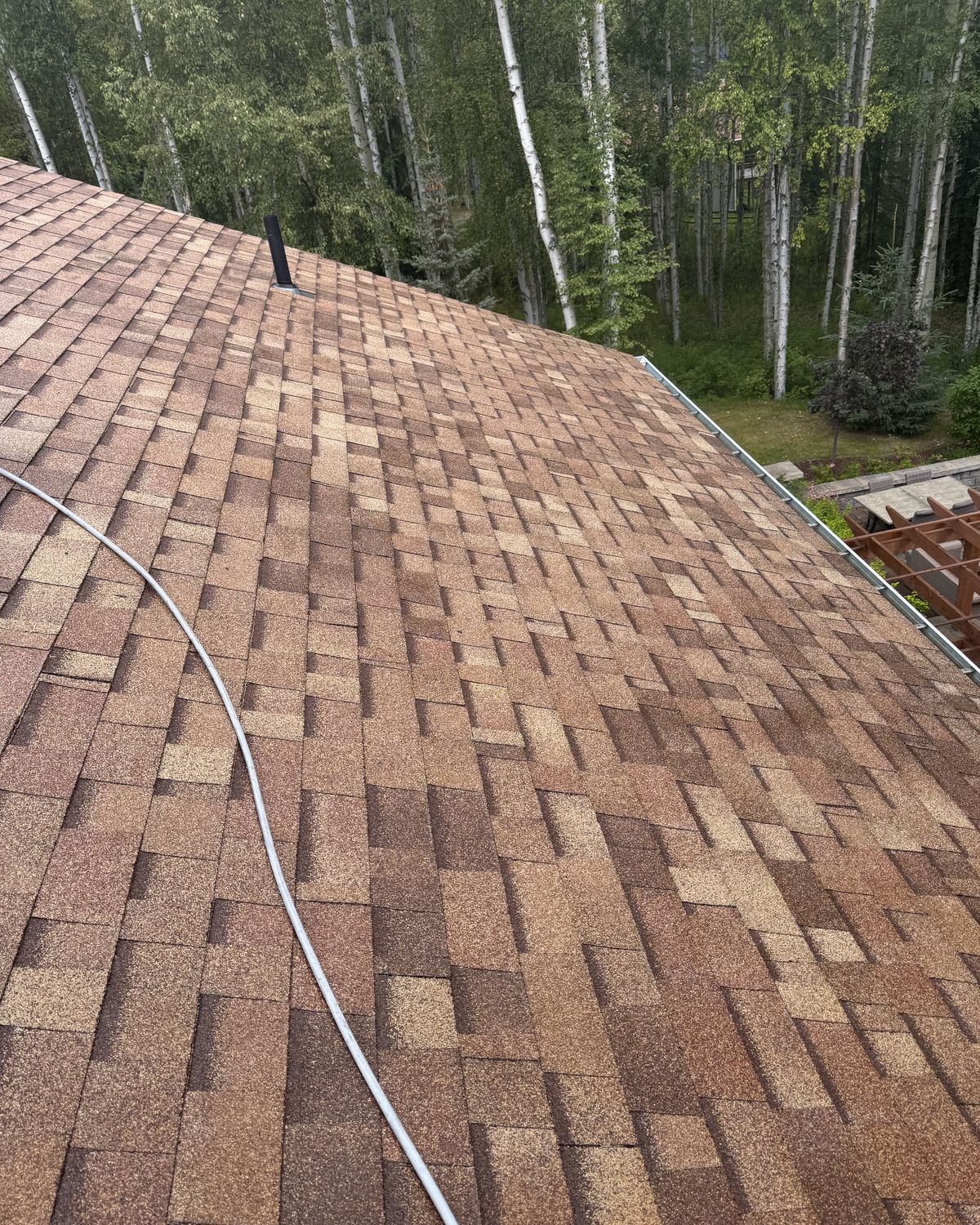 The same house's shingle roof washed clean, birch and spruce behind it